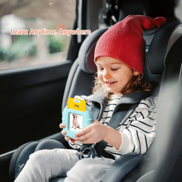 Early Education Flash Card Learning Toys