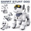 Intelligent Robot Dog