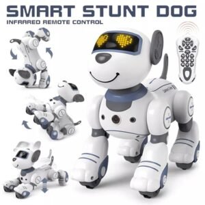 Intelligent Robot Dog